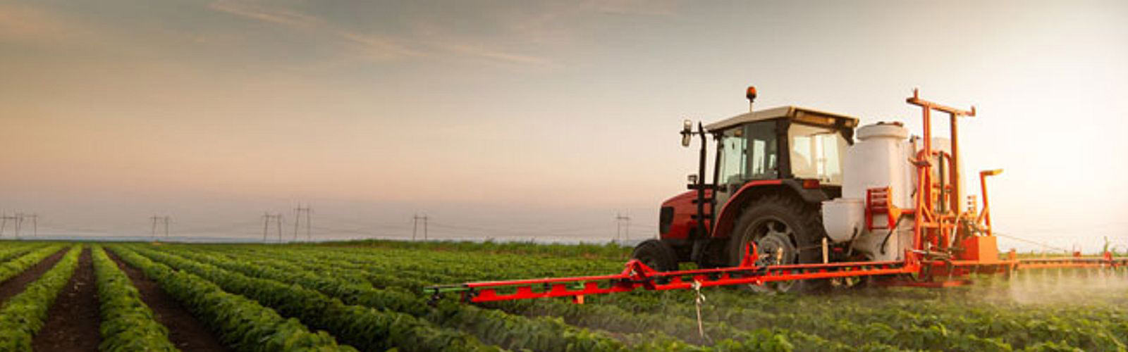 A baixa produtividade agrícola resulta da falta de tecnologias apropriadas em Moçambique